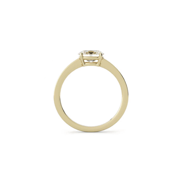 Liam Lab Diamond Hidden Halo 14K White Gold Engagement Ring