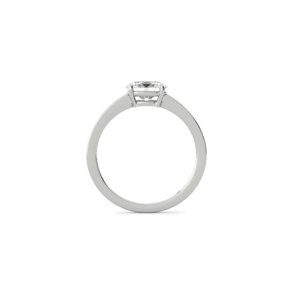 Liam Lab Diamond Hidden Halo 14K White Gold Engagement Ring