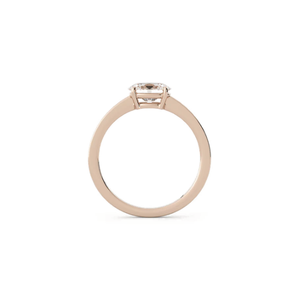 Liam Lab Diamond Hidden Halo 14K White Gold Engagement Ring